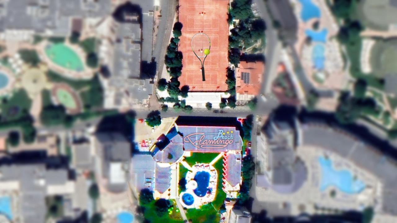 Flamingo Beach Hotel 阳光海滩 外观 照片